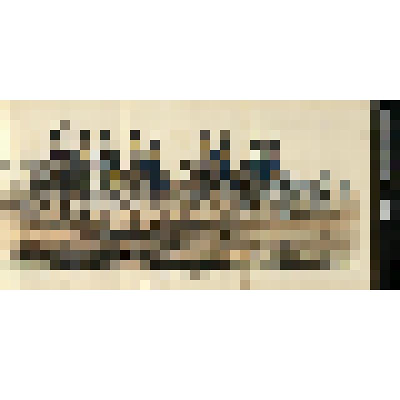 Расчет пешей артиллерии Королевского Шведского артиллерийского полка шведских войск