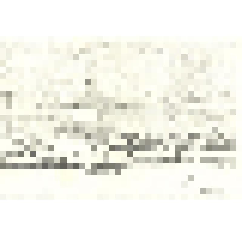 Исаакиевский собор в туманный день». Альбом «Петербург. Автолитографии А.П.Остроумовой». 1922