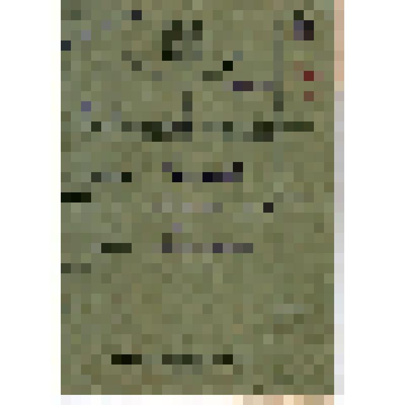 Трудовой список т. Щеглова В.А