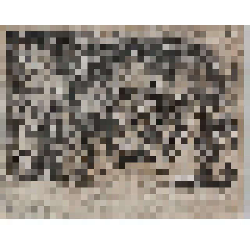 Офорт. Лист 1