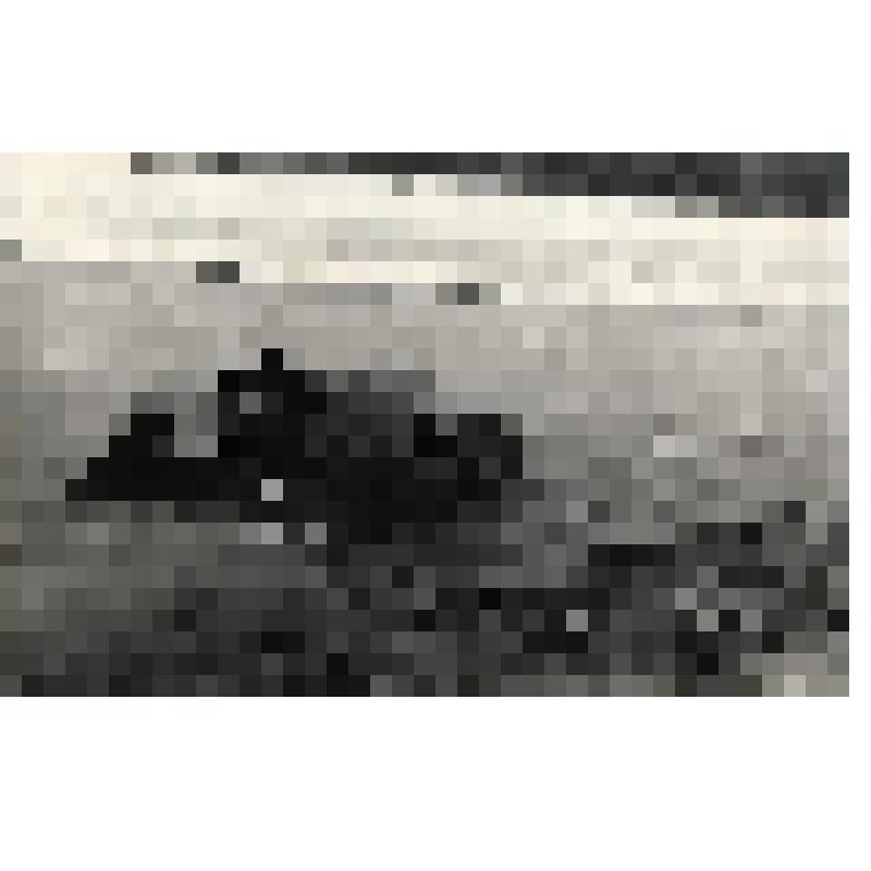 "Аэросани Амфибия проходимы по снегу, воде, тонкому льду". Фотография черно-белая