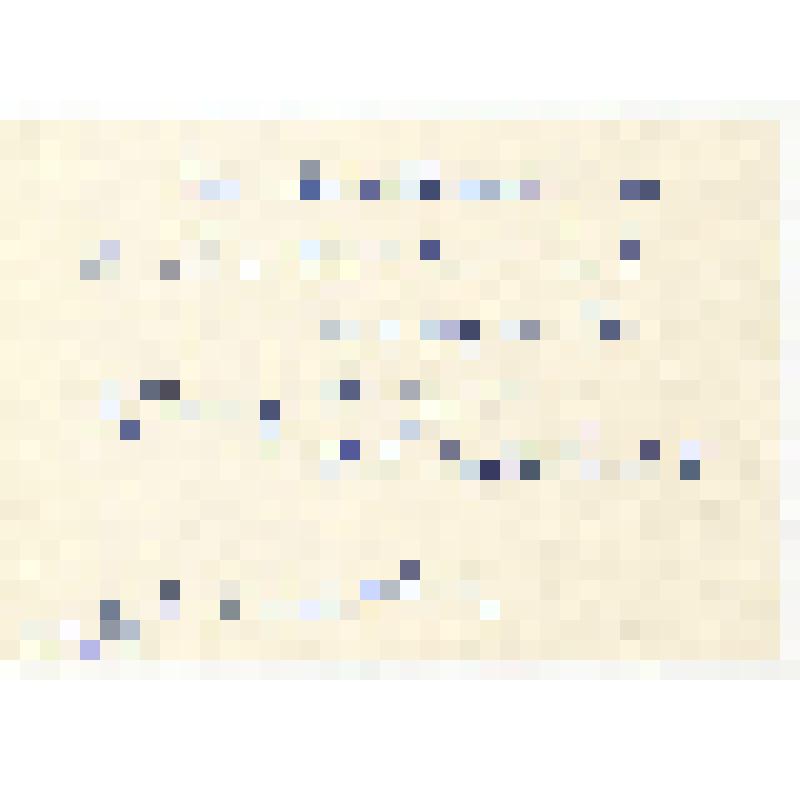 Высказывание о Н.С. Голованове