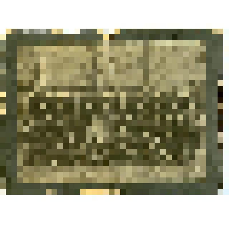 Фотография. Групповой портрет военнослужащих 3 роты 14 пехотного Олонецкого полка Варшавского военного округа