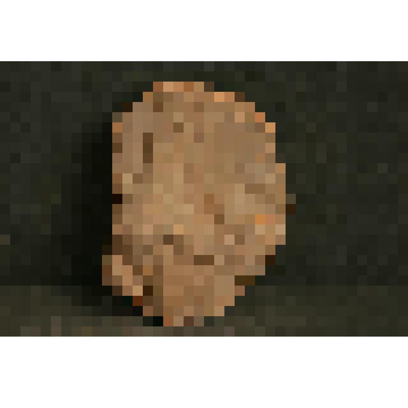 Изразец печной, стенной, рельефный, терракотовый. Фрагмент