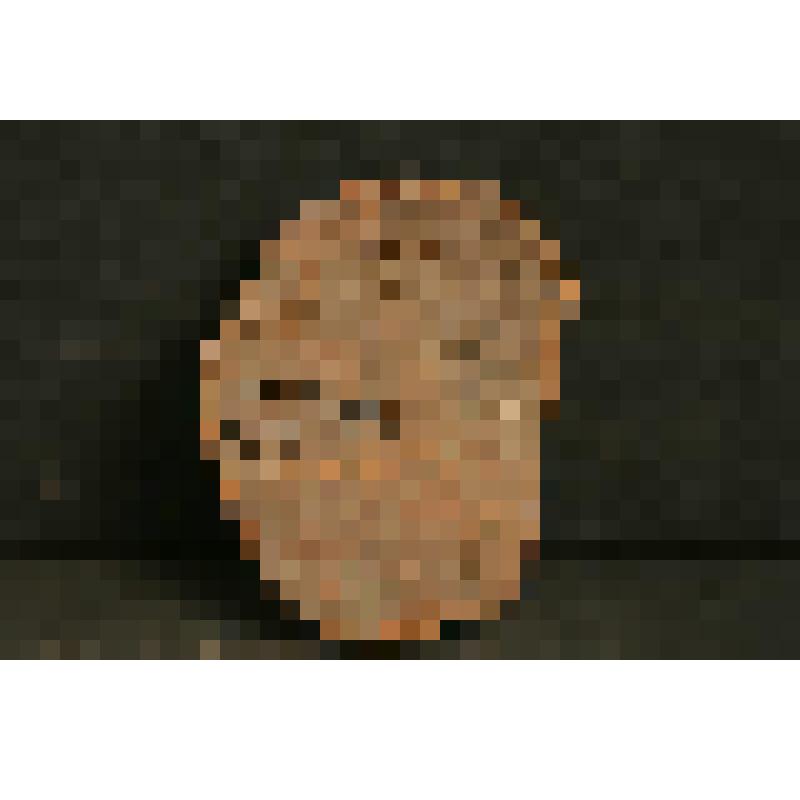 Изразец печной, стенной, рельефный, терракотовый. Фрагмент