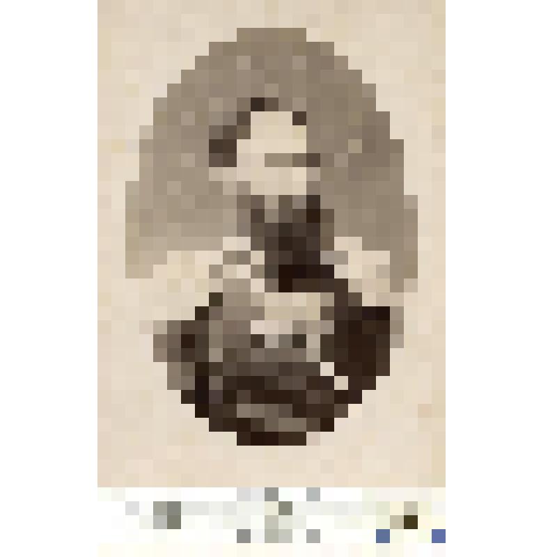 Фотография черно-белая. Урнижевский Сергей Николаевич