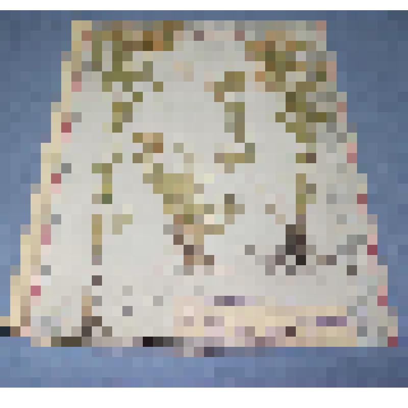 Ботаническая коллекция. Астра, семейство сложноцветные, на гербарном листе, окрестности  села Идра, луг. Compositae Matricaria chamomillea Z