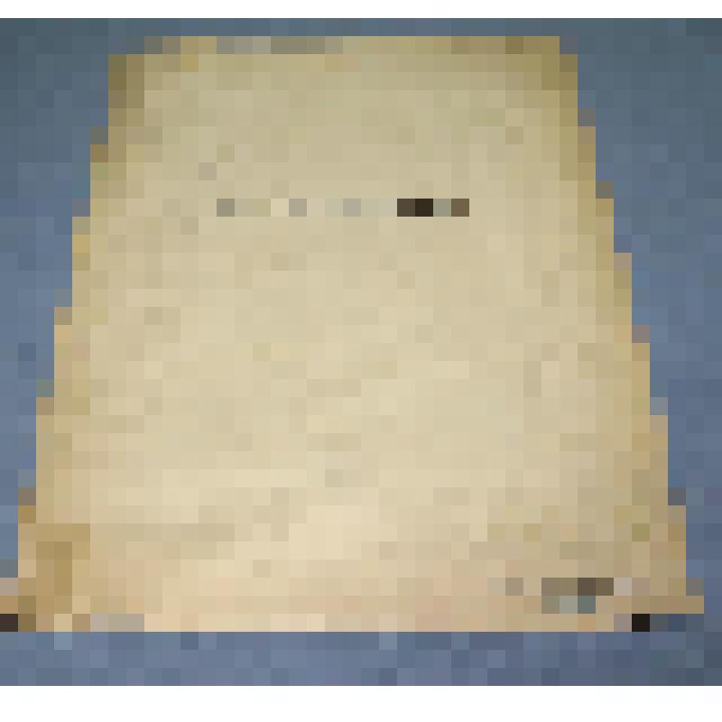 Ботаническая коллекция. Астра, семейство сложноцветные, на гербарном листе, окрестности  села Идра, луг. Compositae Matricaria chamomillea Z