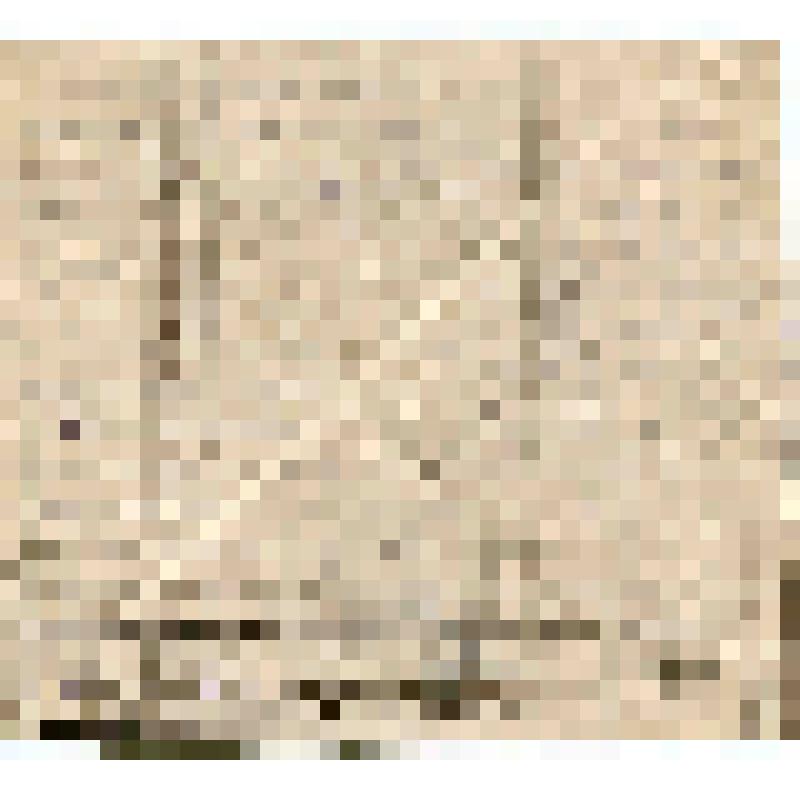 Письмо А.А.Торбинской (матери) в г. Александров от А.Н.Торбинского с фронта