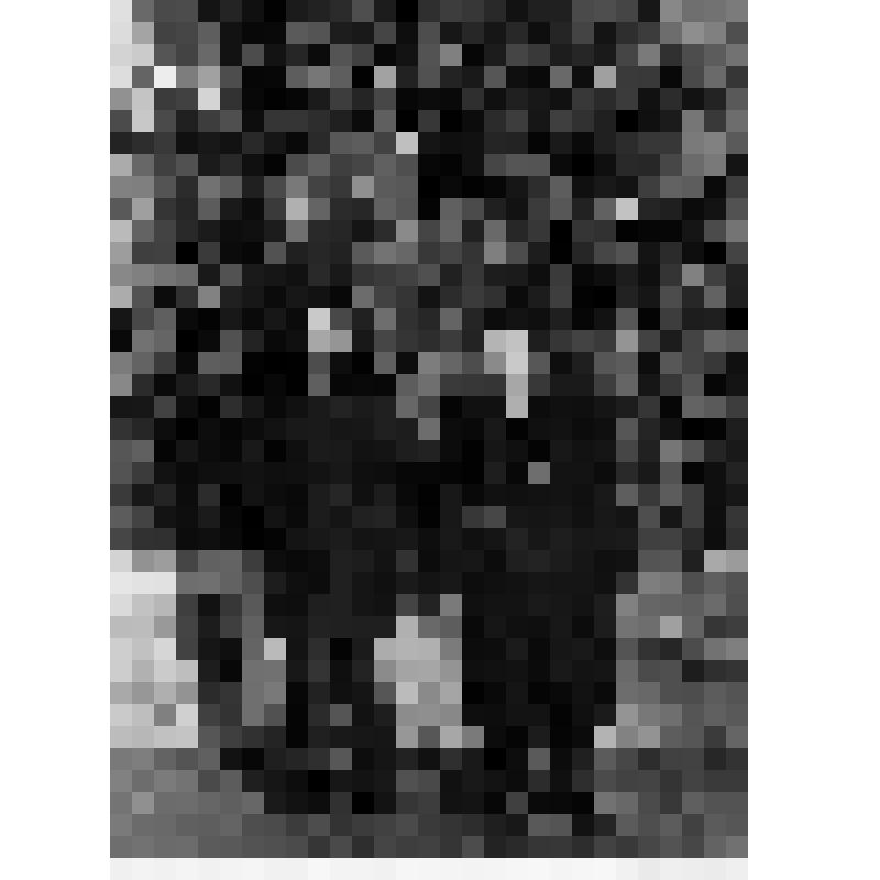 Тращенко Петр Федорович (слева) в начале службы с учителем Корневым Иринарием Павловичем