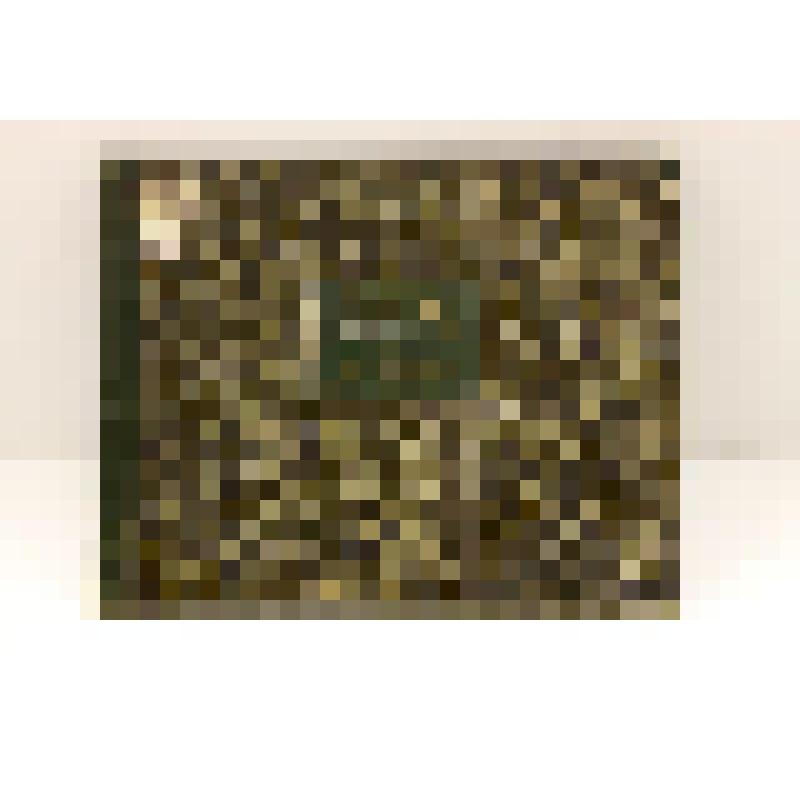 Альбом. Изображение Российских штандартов, флагов, вымпелов, вышедших из употребления