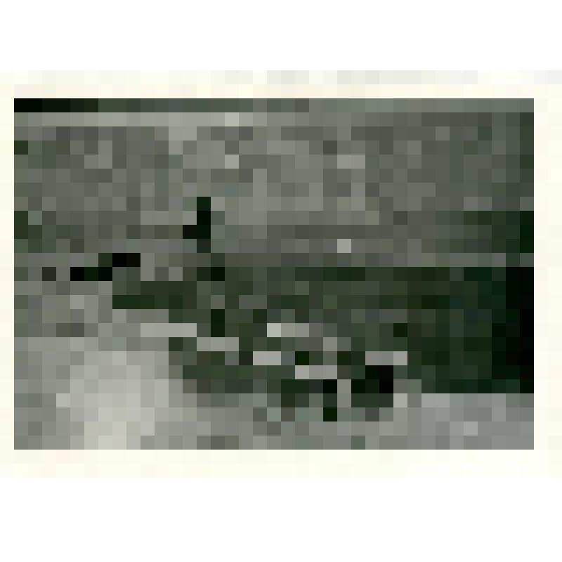 Фотокопия с картины. Могила исследователей Прончищевых на берегу моря Лаптевых