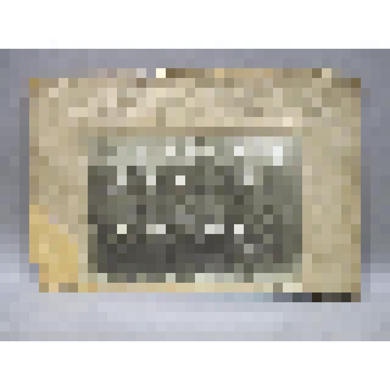 Фотография [Группа работников водного транспорта]. Комплект: Предметы из семьи Филатовых, Карелия, Прионежский р., д. Вехручей