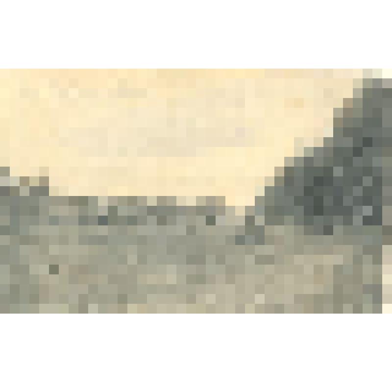 Открытка. Бежица Орловской губ. Вид от больницы и улица на базар