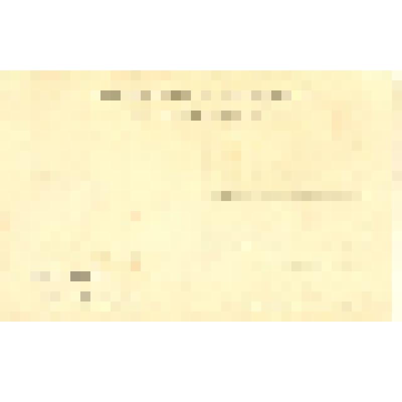 Открытка. Бежица Орловской губ. Вид от больницы и улица на базар