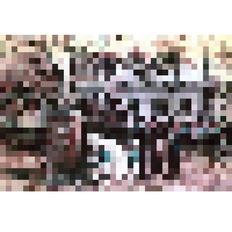 Возложение цветов к памятнику В.И.Ленину в день свадьбы молодоженами