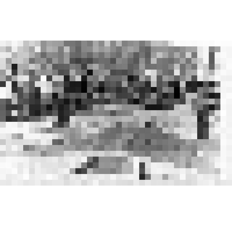 Фотография митинга в п.Котлубань