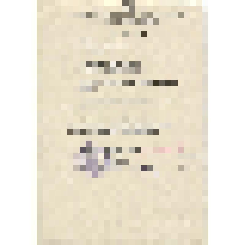 Решение о присвоении звания "Почетный гражданин города  Белозерска" Горину В.Н. с подписью председателя горсовета Н.М.Вершинина и секретаря А.П.Дмитриевой  04.11. 1977 г