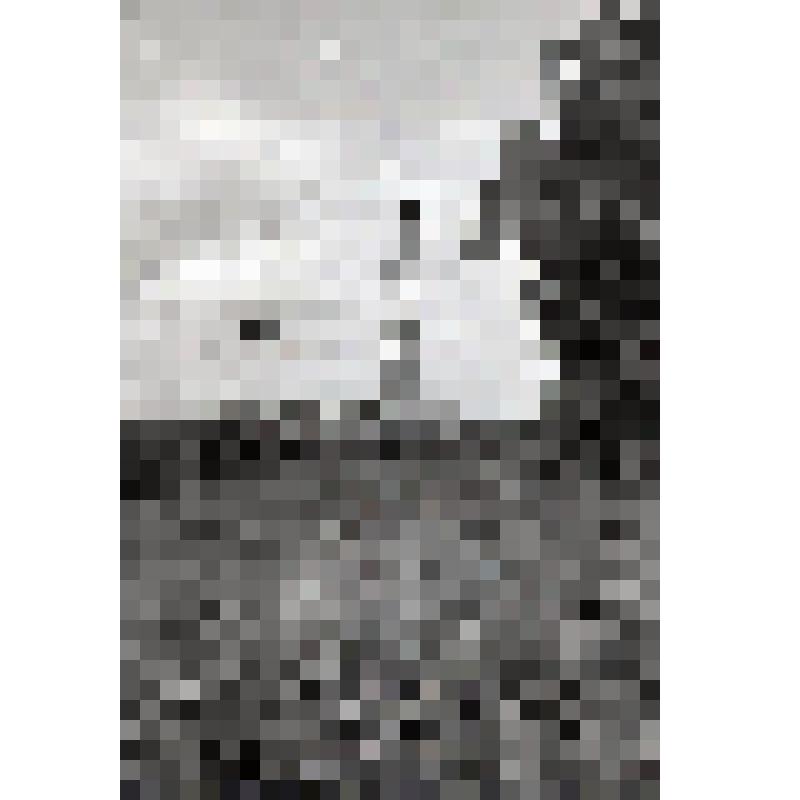 негатив. Буровая установка на Ушаковском месторождении нефти