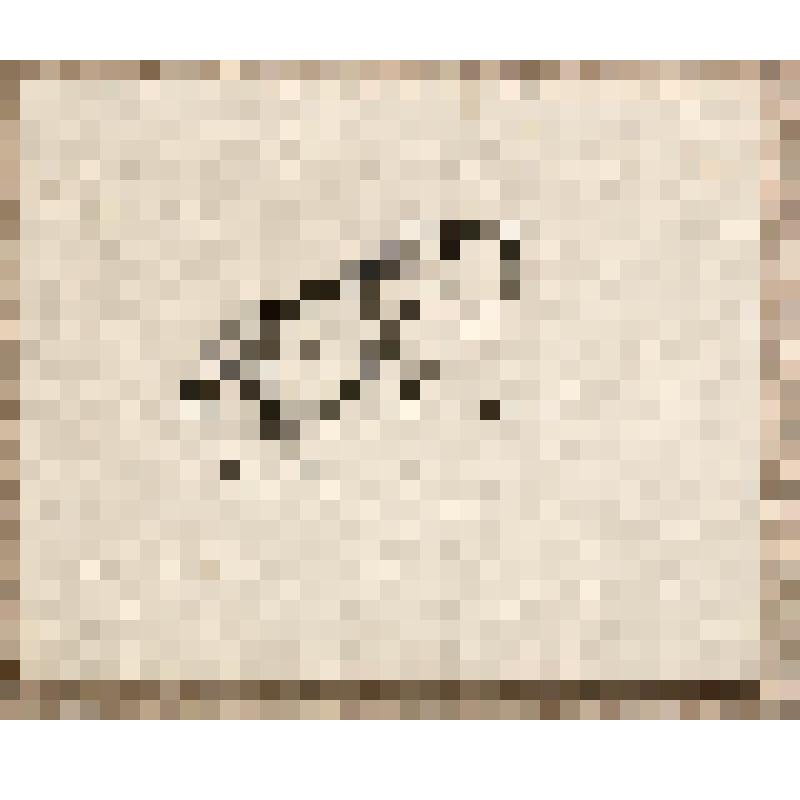 Лягушка, из альбома  «190 пейзажей; зарисовки, иллюстрации, карикатуры»