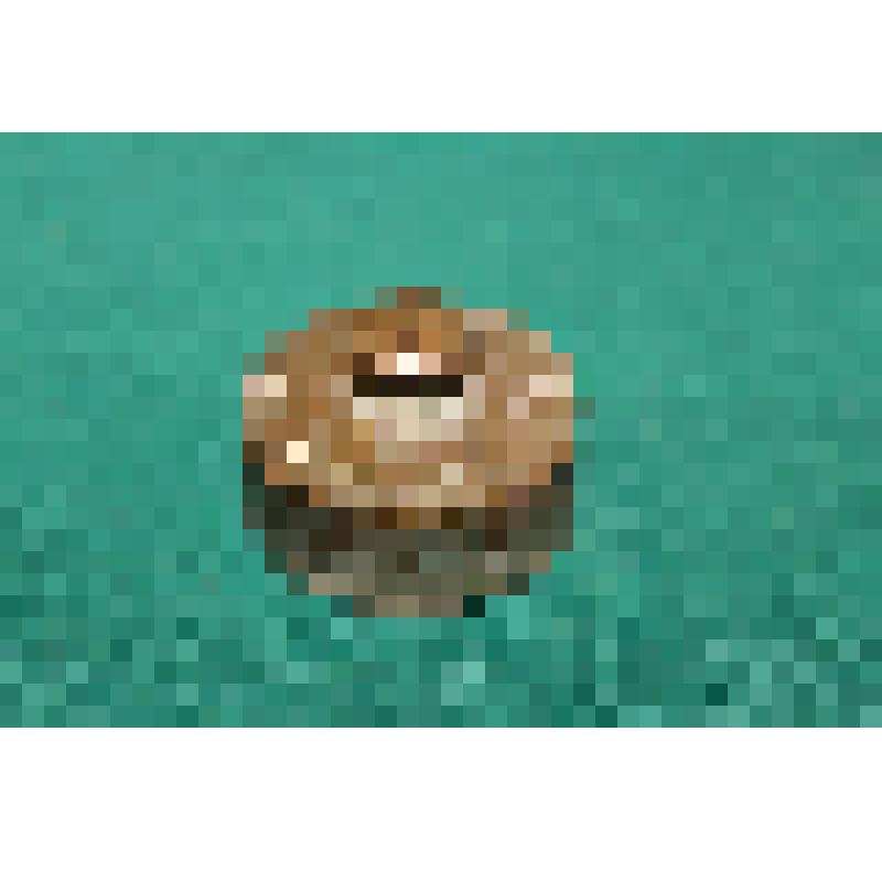 Гиря весовая "200/9" с клеймом "Т-во А.К. ФЕРРЕНЙНЪ"