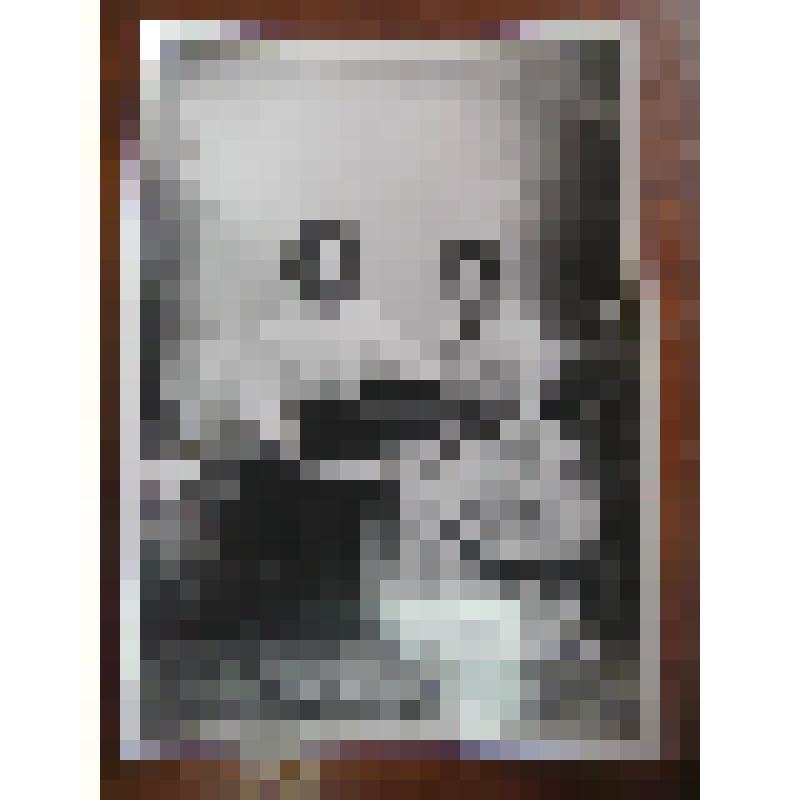 фотопортрет композиционный. изображены сестры Водолажские (г. Льгов). изображены  в фас, крайняя справа в белом платье, слева в белой кофте, черной юбке