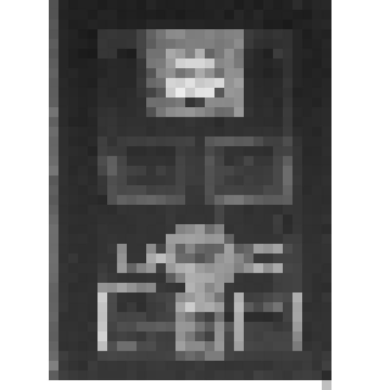 Негатив на стекле. Лермонтовская выставка в Гослитмузее 1946 года 15 октября