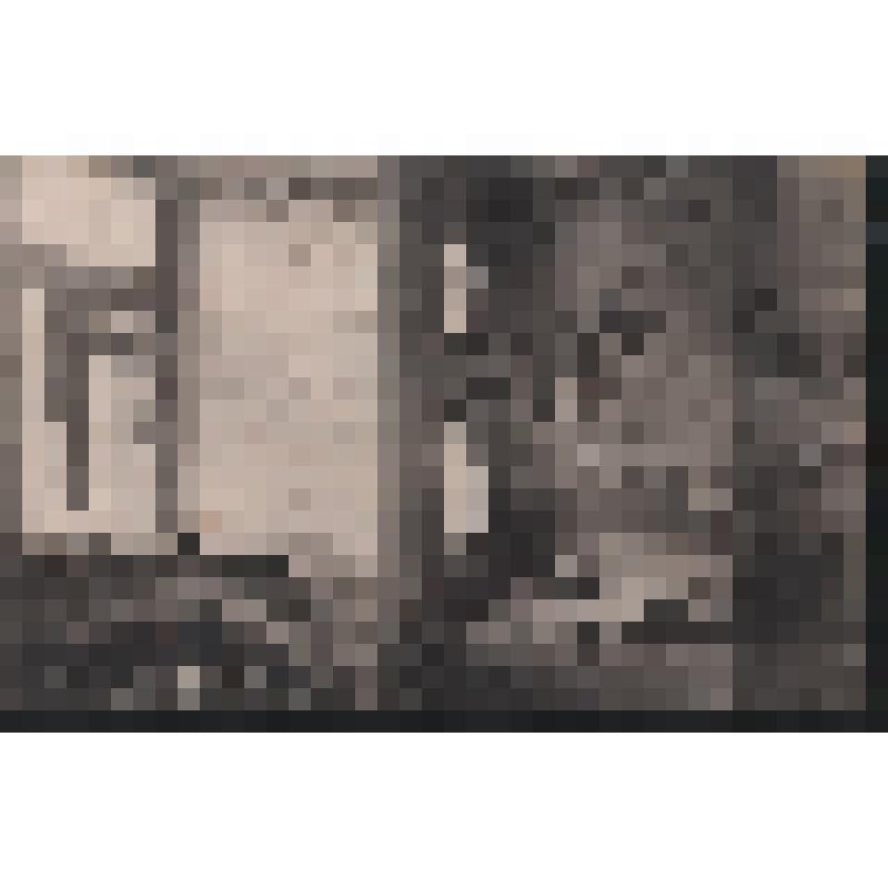 "Внутренний вид дома Шугаева на Неглинном бульваре"