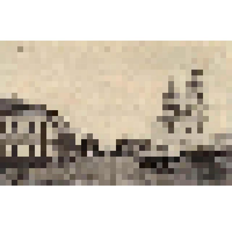 Открытка. Город Нерехта. Нижегородская улица и общественный банк