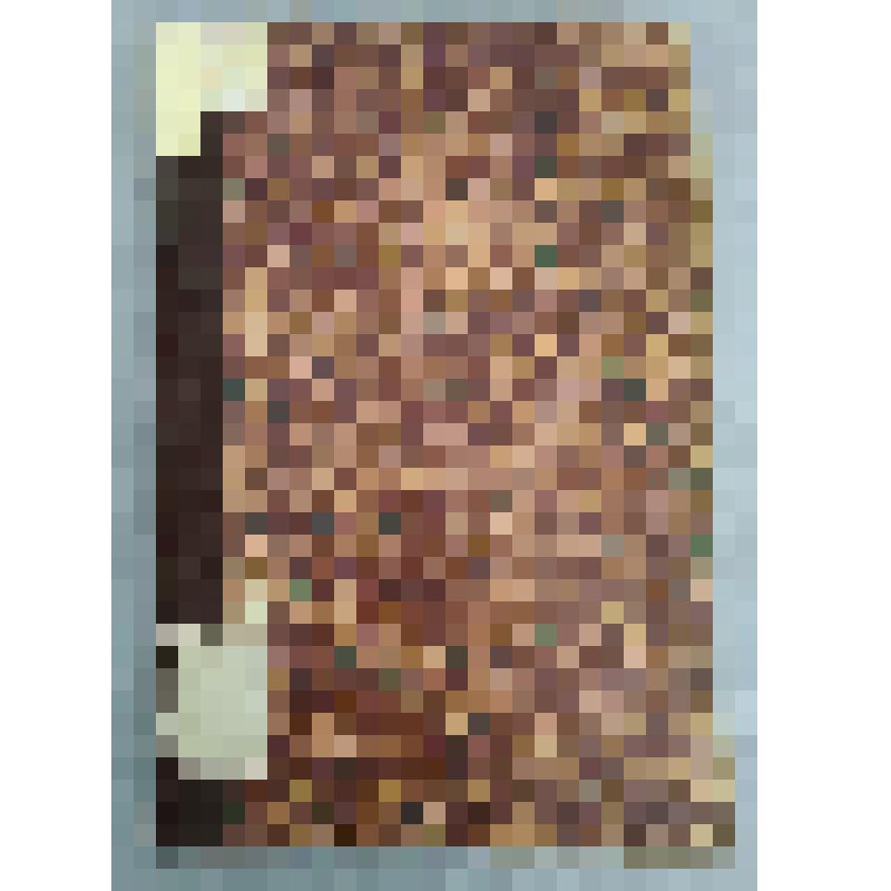 Книга "Исторический вестник"