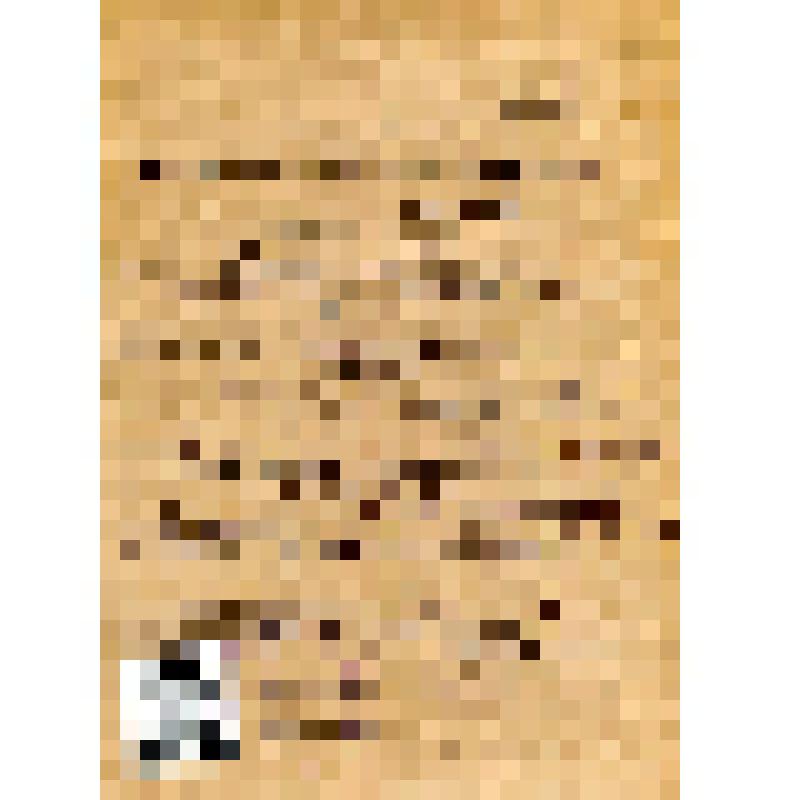 Карточка учетная члена профсоюза (членский билет №81759327) Колядинской Галины Ивановны - тестовода опар Азовского хлебозавода