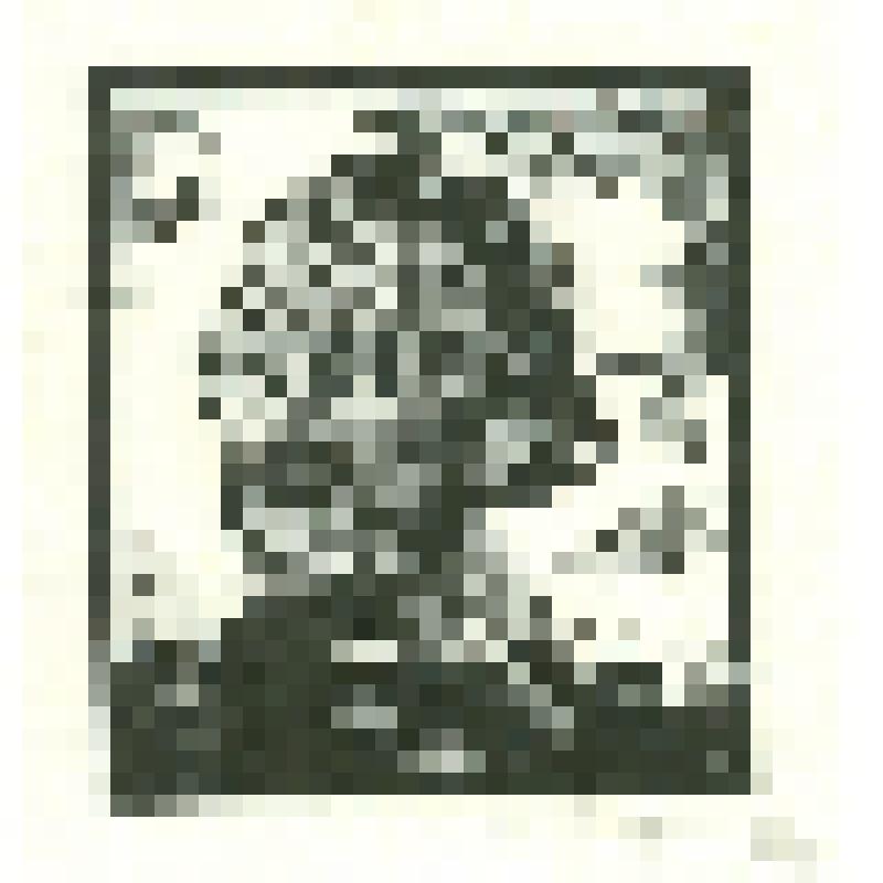 Н.И. Калита. Портрет писателя (?), 1970-80-е гг., г. Москва