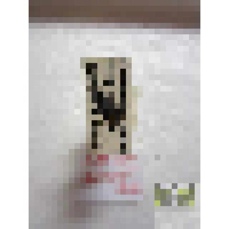 Тускляк провинциальный (Amara municipalis Duft.)