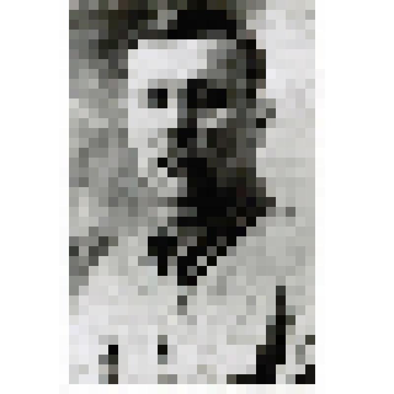 Фотография. Прозоров П.Г. - начальник артиллерии дивизии 214-й СД