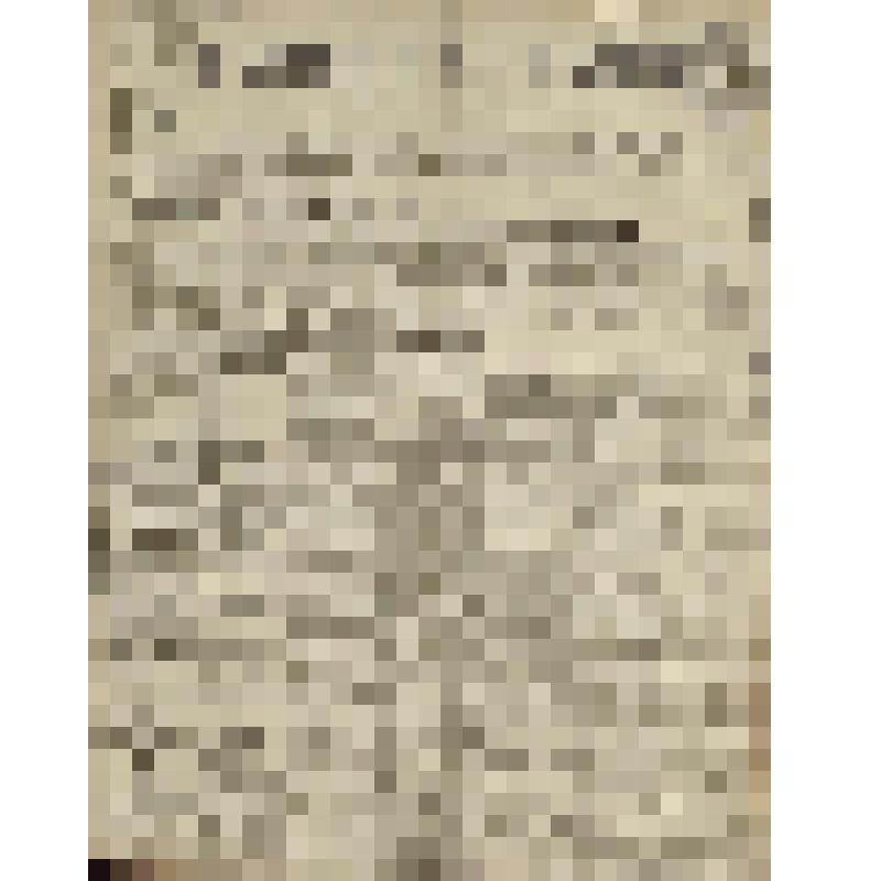 Газета. Русское знамя. № 285 (2 л.;)