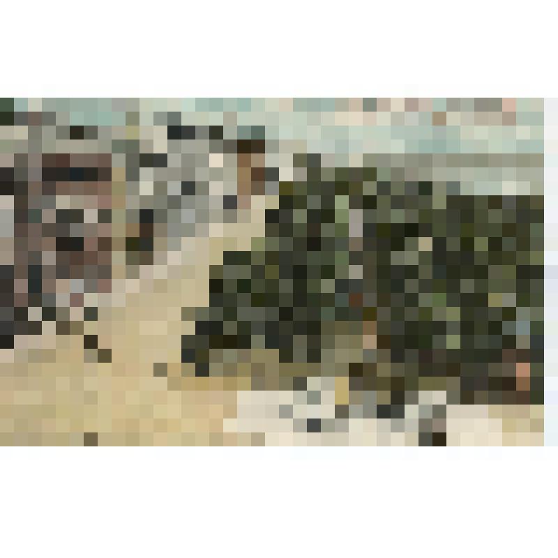 Открытка.Одесса. Вид на Николаевский бульвар с террасы  Городской Думы