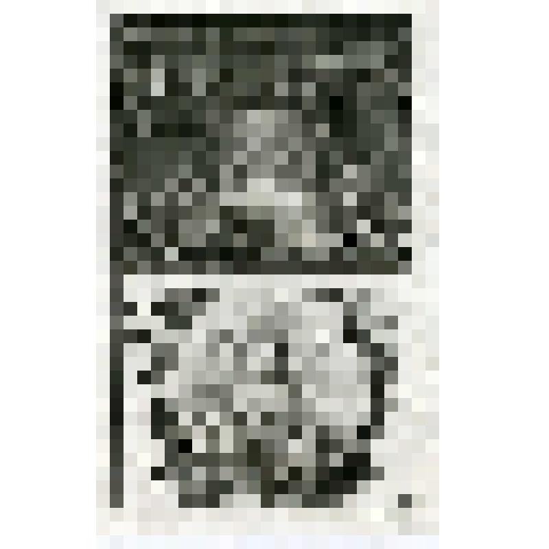 Офорт. Лист 112. Иллюстрации