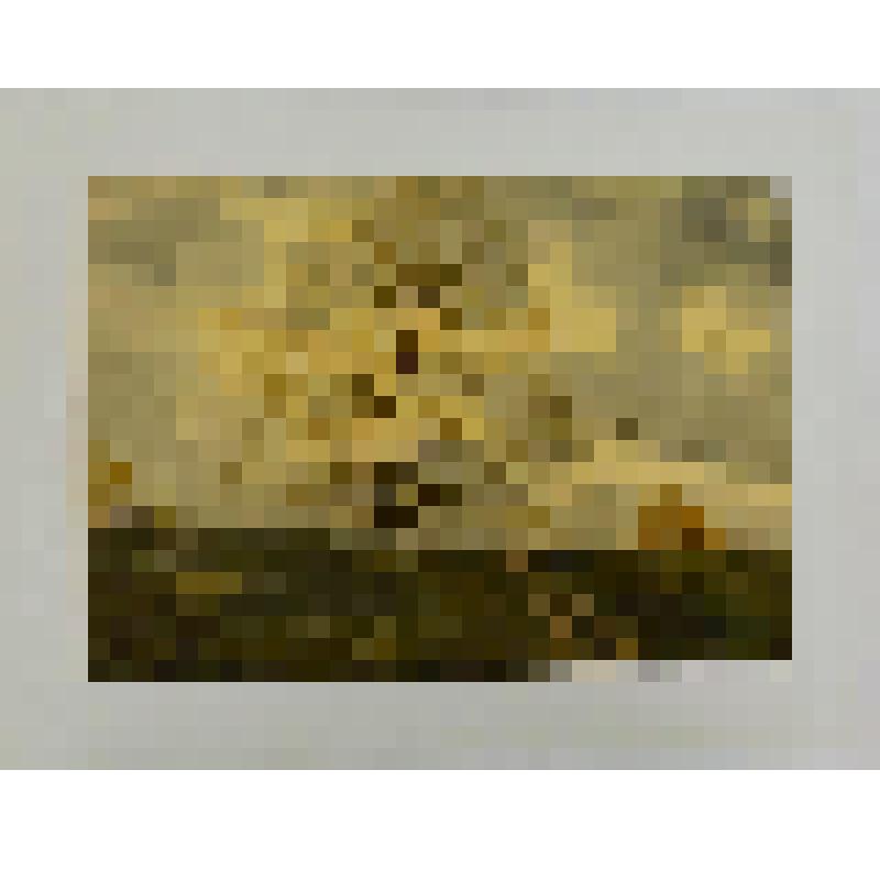 Акварель. Подмосковная берёзка