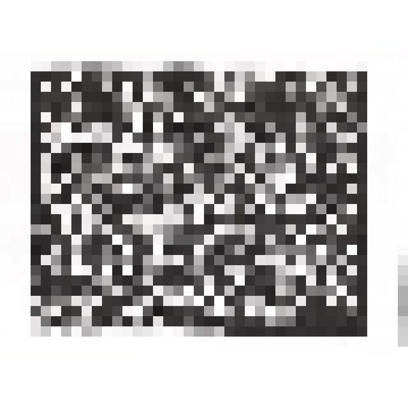 «Композиция №604» из серии «Метаморфозы»