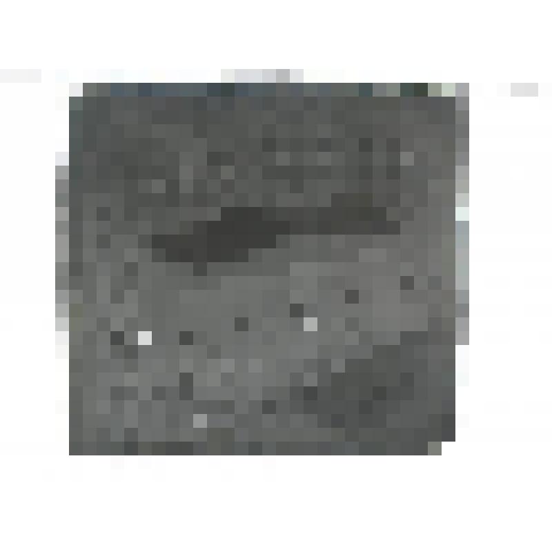 Некрополь Донского м-ря, г. Москва. Некрополь Донского м-ря (?). Надгробие Федора Алексеевича Бродникова, XIX в. Общий вид