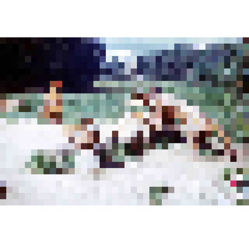 Диапозитив. Детская площадка. (349)