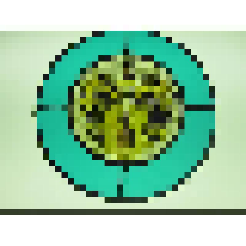 Витраж круглый: Герб с полуфигурой арапа