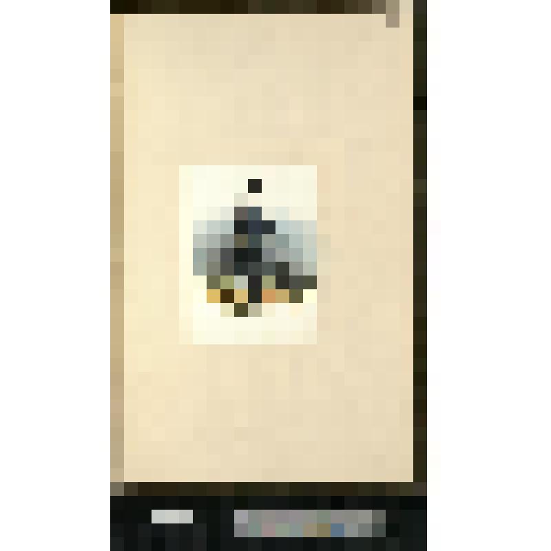 Канонир Готского артиллерийского полка шведских войск