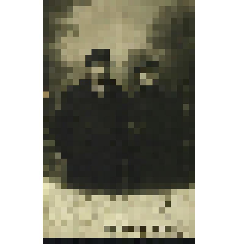 Фотооткрытка. А.И. Куприн и Джакомо Чирени (клоун Жакомино). Одесса