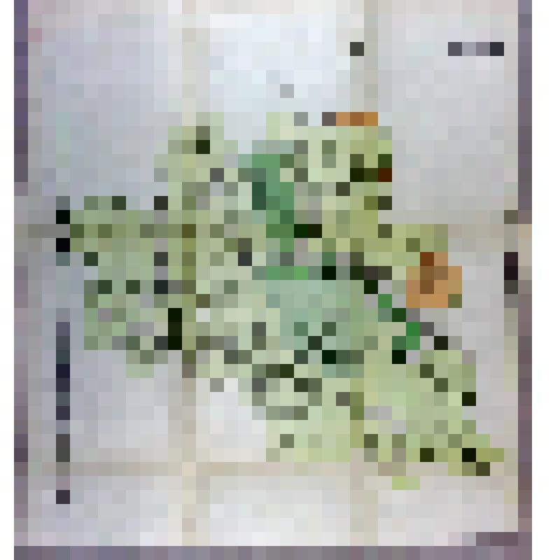 Карта гидрогеологическая. Калининский район