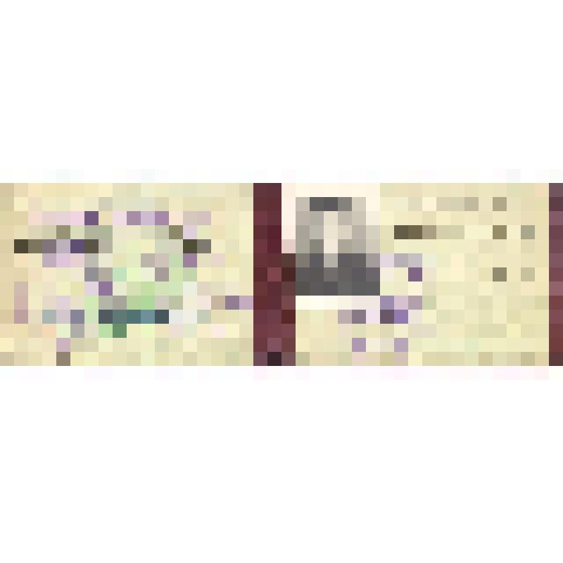 Удостоверение