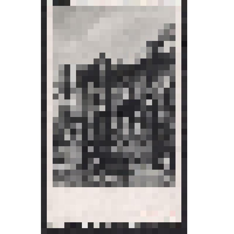 Фотография. Здание Омского Сибирского Астрономо-геодезического института