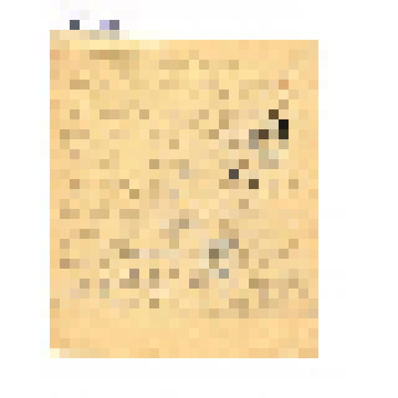 Документ. Письмо с фронта Пантелеева Н.Н. сестре Фрейе. 26.01.1943