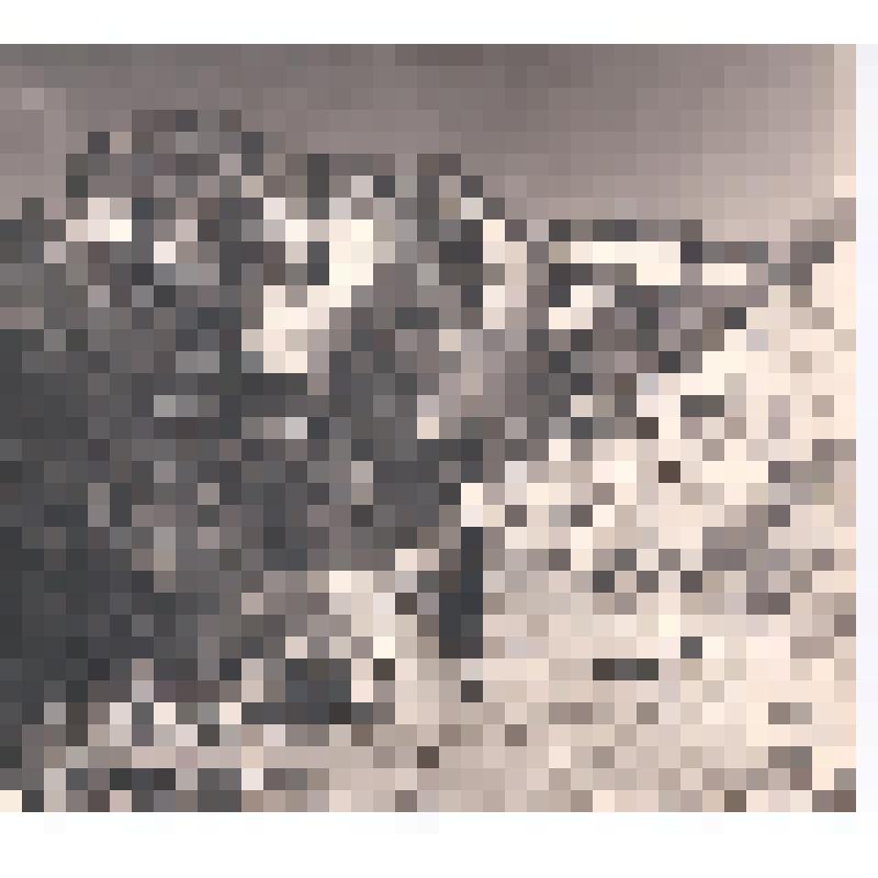 Фотография. Художник Гречишкин П. М. идёт по горной тропе на Клухорское озеро. Вокруг горы