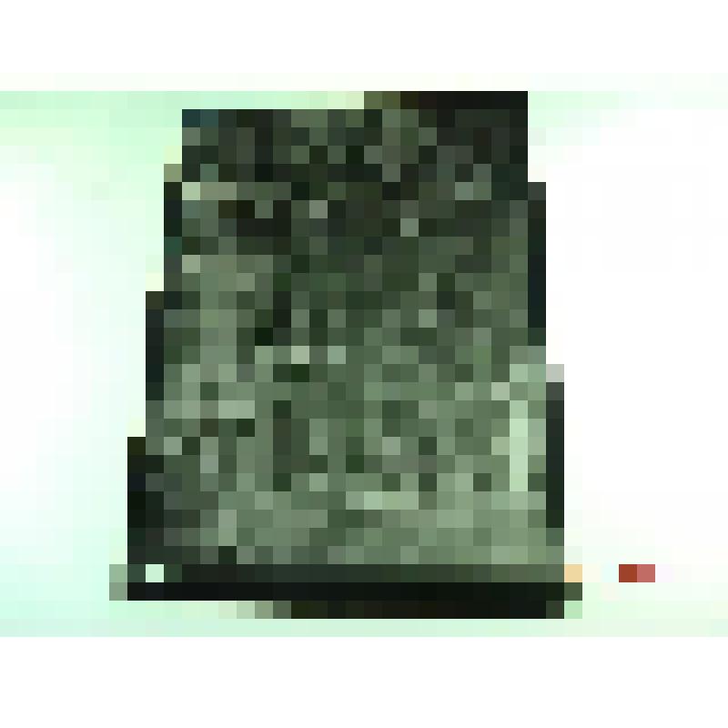 Церковь Покрова в Филях. Новозаводская ул., 6. 1693-1694 гг.; Усадьба Л.К.Нарышкина в Филях, кон. XVII в. г. Москва, с. Фили. Усадьба Л.К.Нарышкина в Филях. Церковь Покрова в Филях